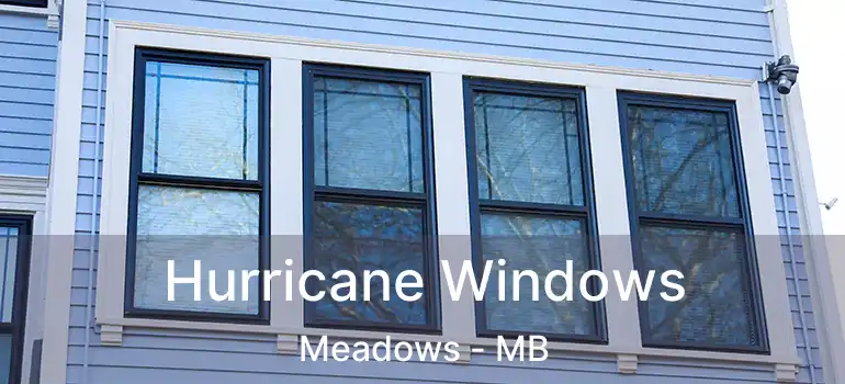  Hurricane Windows Meadows - MB