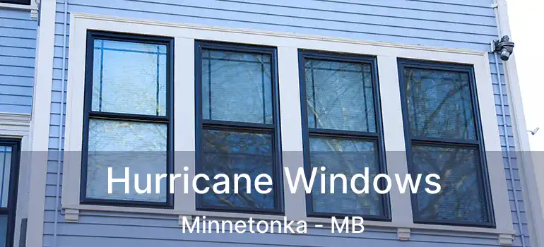  Hurricane Windows Minnetonka - MB