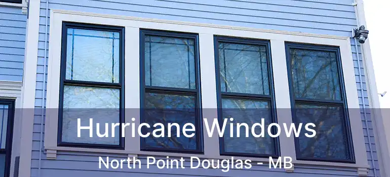  Hurricane Windows North Point Douglas - MB