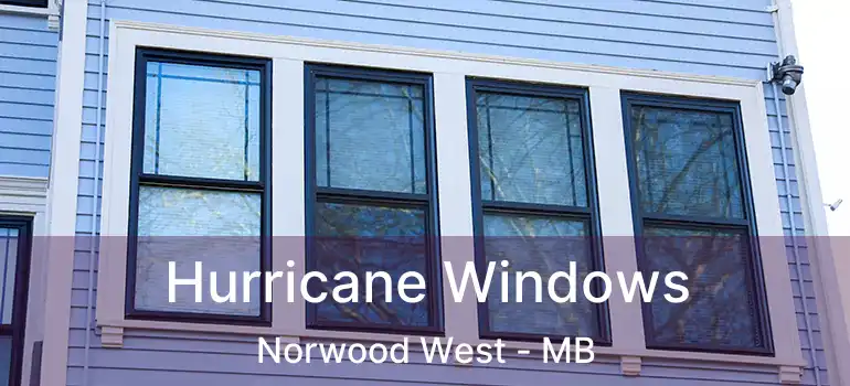  Hurricane Windows Norwood West - MB