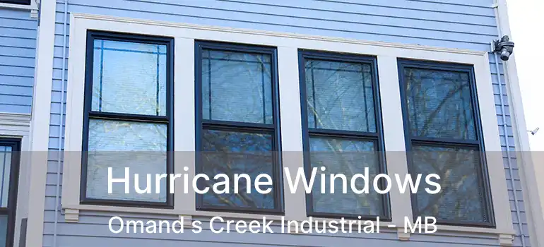  Hurricane Windows Omand s Creek Industrial - MB