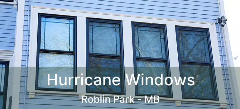  Hurricane Windows Roblin Park - MB