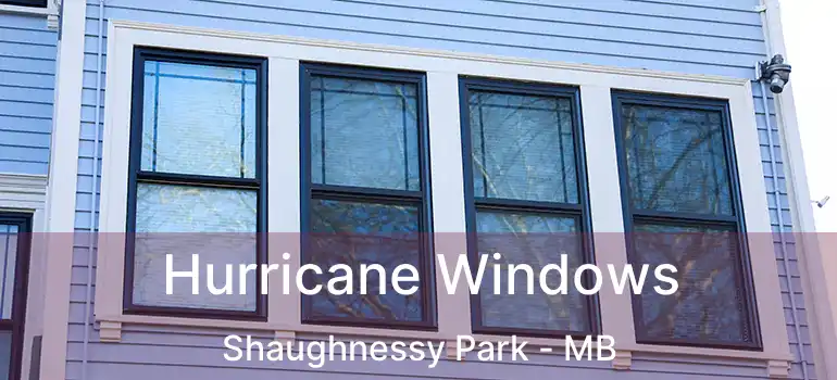  Hurricane Windows Shaughnessy Park - MB