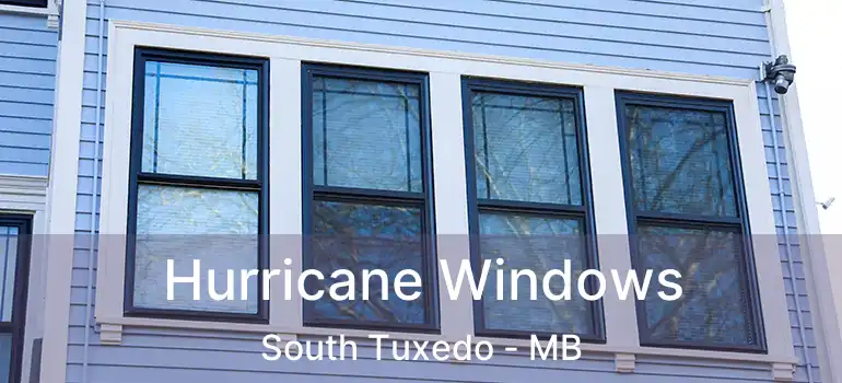  Hurricane Windows South Tuxedo - MB