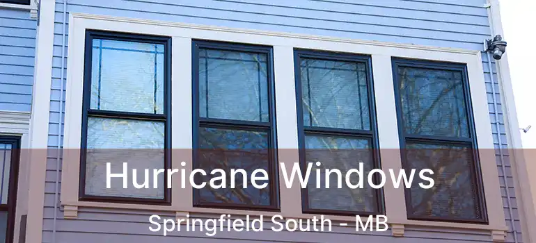  Hurricane Windows Springfield South - MB