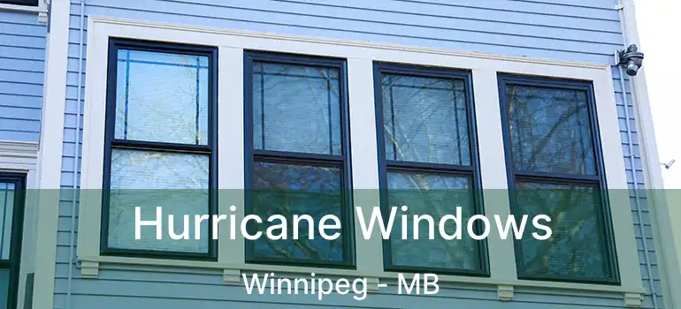  Hurricane Windows Winnipeg - MB