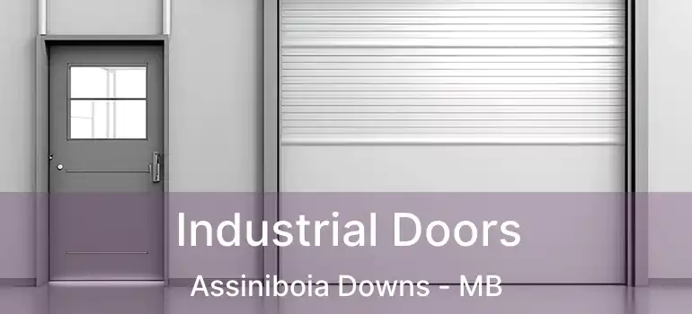  Industrial Doors Assiniboia Downs - MB