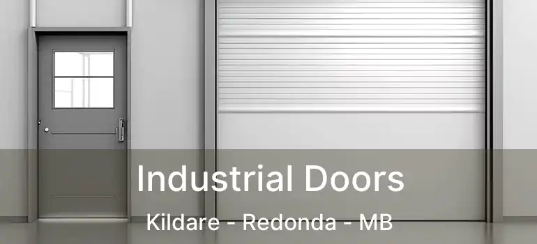  Industrial Doors Kildare - Redonda - MB
