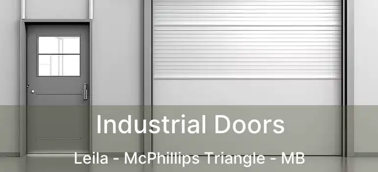  Industrial Doors Leila - McPhillips Triangle - MB