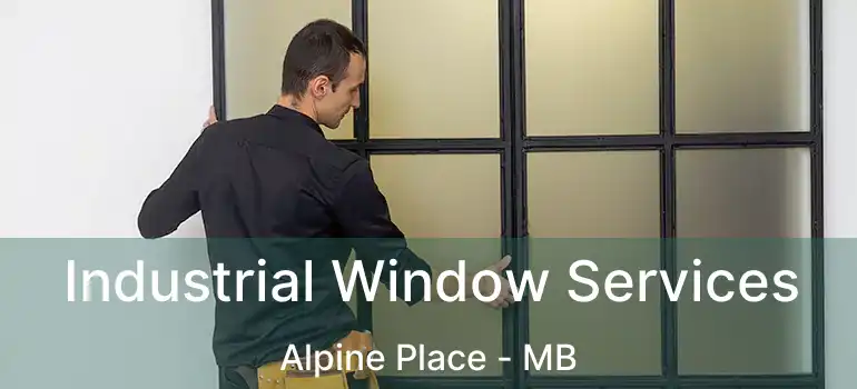  Industrial Window Services Alpine Place - MB