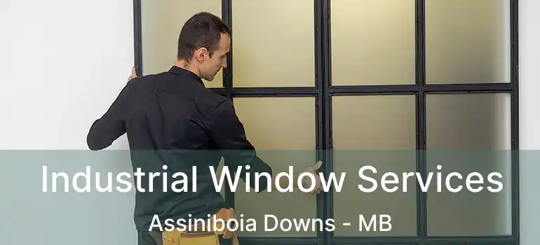  Industrial Window Services Assiniboia Downs - MB