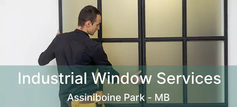 Industrial Window Services Assiniboine Park - MB
