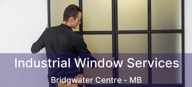  Industrial Window Services Bridgwater Centre - MB