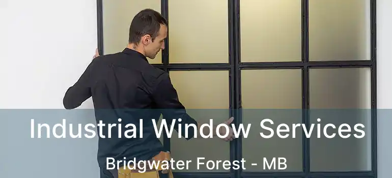  Industrial Window Services Bridgwater Forest - MB
