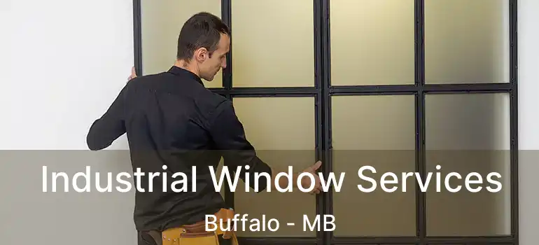  Industrial Window Services Buffalo - MB