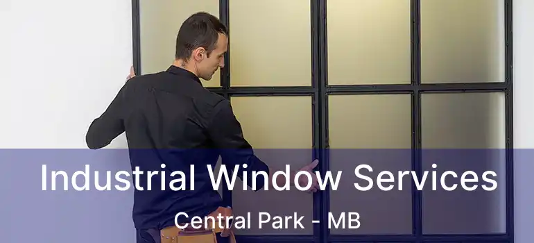 Industrial Window Services Central Park - MB
