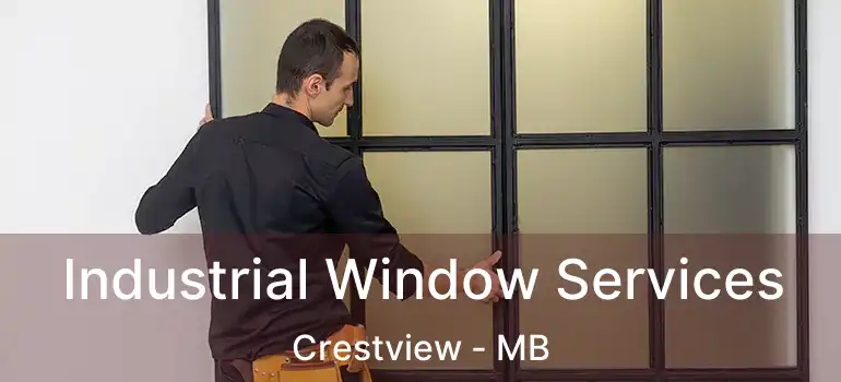  Industrial Window Services Crestview - MB