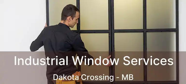  Industrial Window Services Dakota Crossing - MB