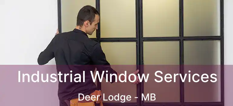 Industrial Window Services Deer Lodge - MB