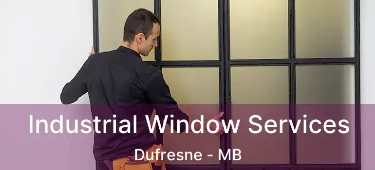  Industrial Window Services Dufresne - MB