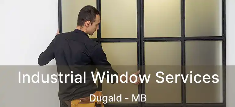  Industrial Window Services Dugald - MB