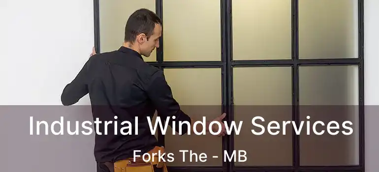 Industrial Window Services Forks The - MB