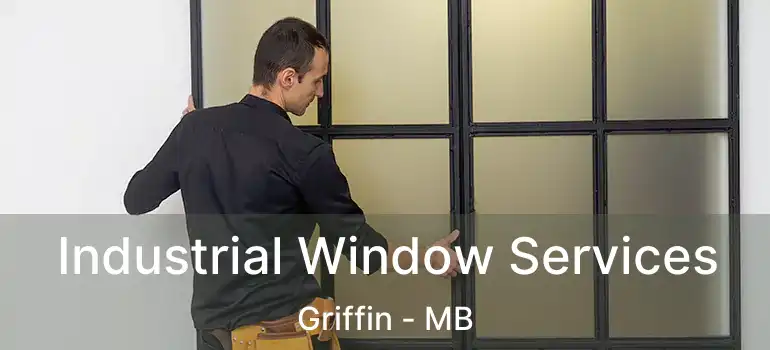  Industrial Window Services Griffin - MB