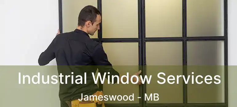  Industrial Window Services Jameswood - MB
