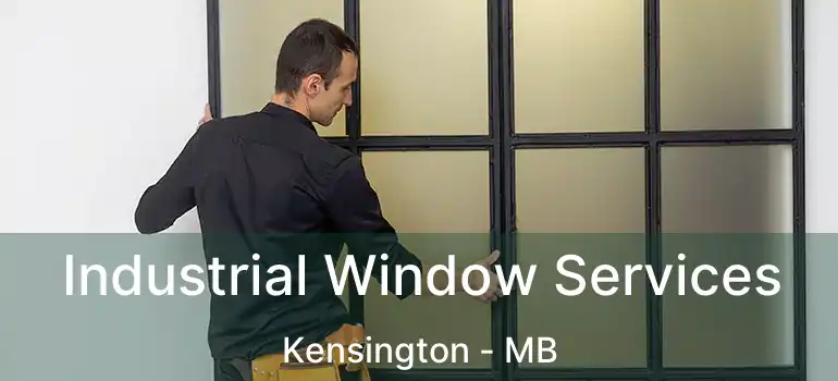 Industrial Window Services Kensington - MB