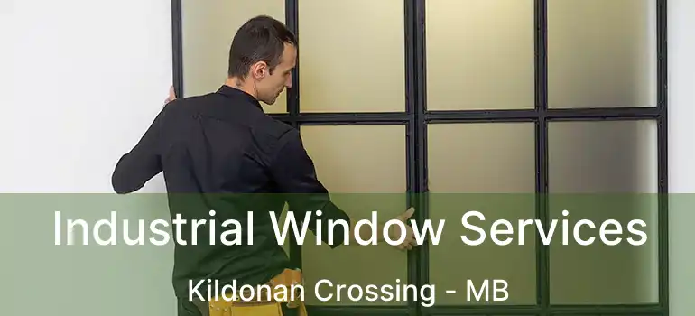  Industrial Window Services Kildonan Crossing - MB