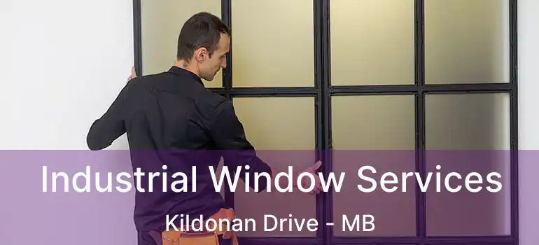  Industrial Window Services Kildonan Drive - MB