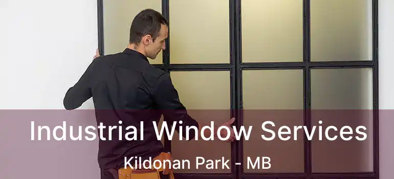  Industrial Window Services Kildonan Park - MB