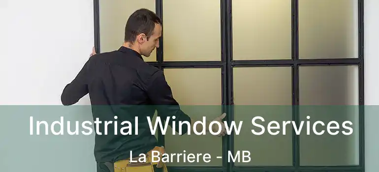  Industrial Window Services La Barriere - MB