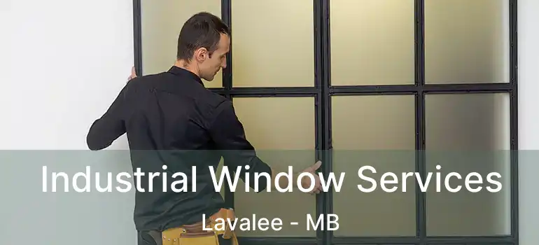  Industrial Window Services Lavalee - MB