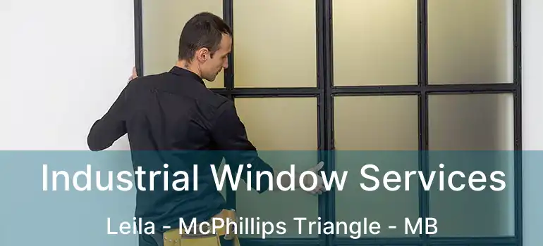 Industrial Window Services Leila - McPhillips Triangle - MB