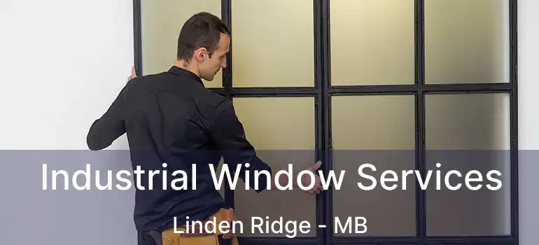  Industrial Window Services Linden Ridge - MB