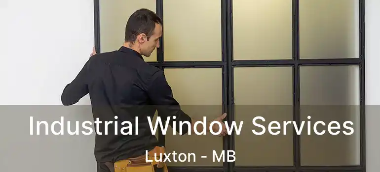  Industrial Window Services Luxton - MB