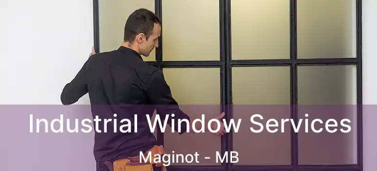  Industrial Window Services Maginot - MB
