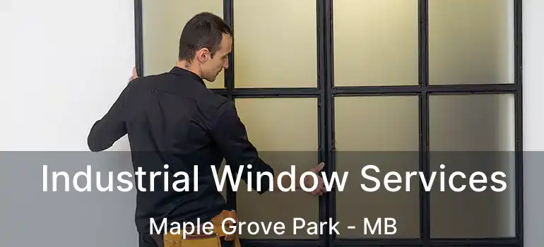  Industrial Window Services Maple Grove Park - MB