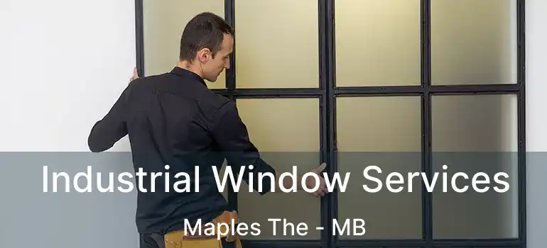  Industrial Window Services Maples The - MB