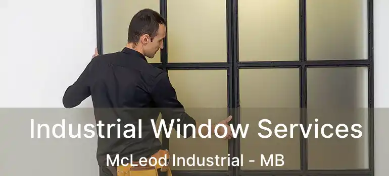  Industrial Window Services McLeod Industrial - MB