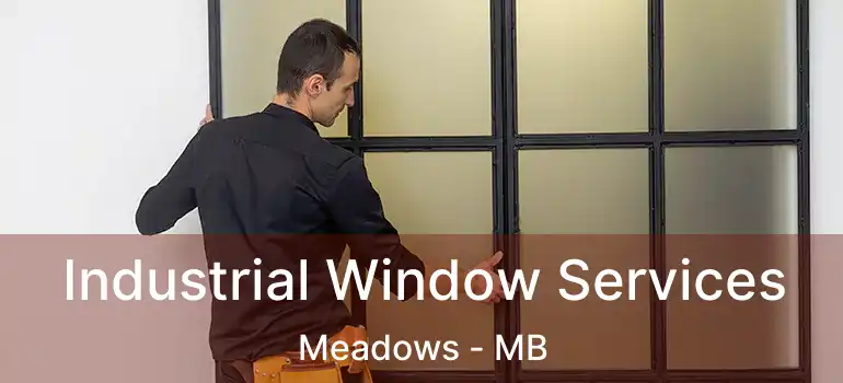  Industrial Window Services Meadows - MB