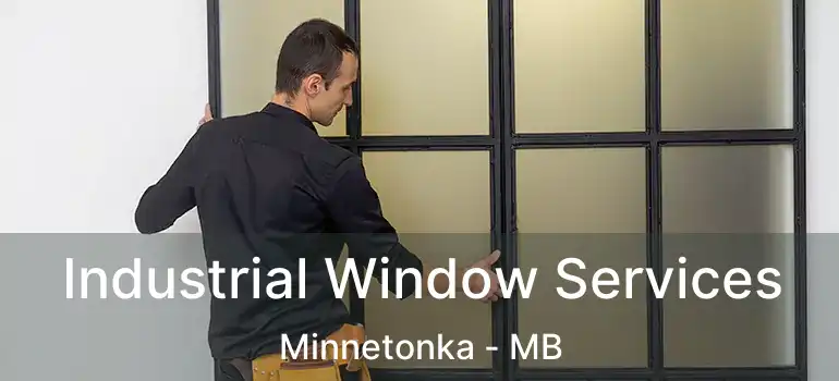  Industrial Window Services Minnetonka - MB