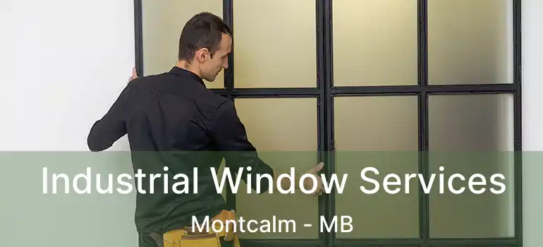  Industrial Window Services Montcalm - MB