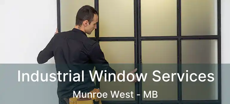  Industrial Window Services Munroe West - MB