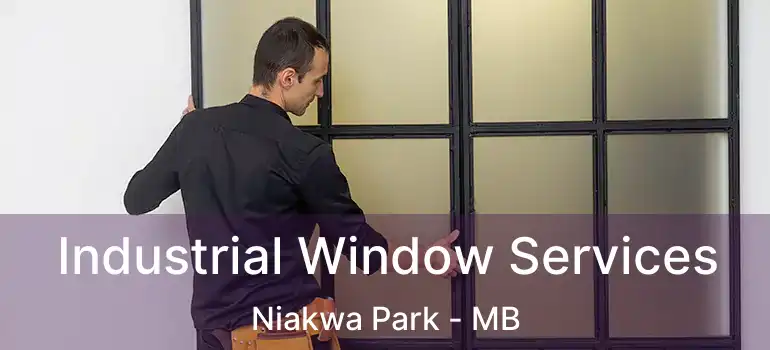  Industrial Window Services Niakwa Park - MB