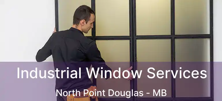  Industrial Window Services North Point Douglas - MB