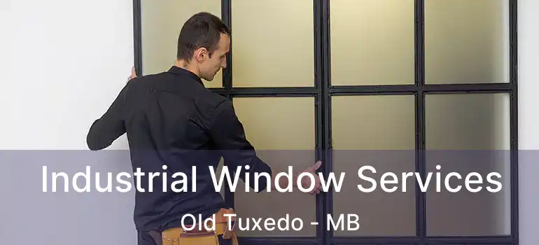  Industrial Window Services Old Tuxedo - MB