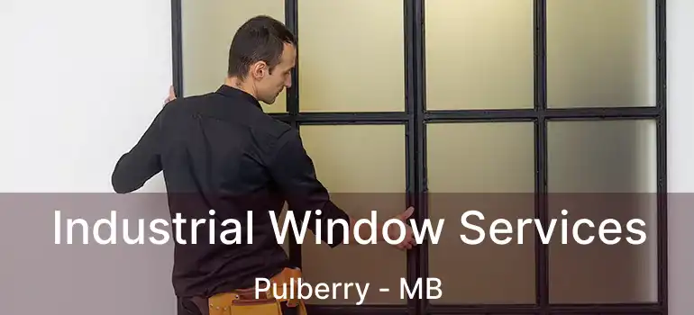  Industrial Window Services Pulberry - MB