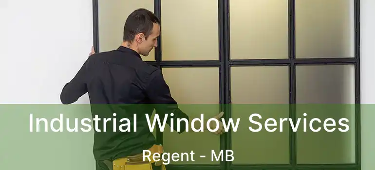  Industrial Window Services Regent - MB